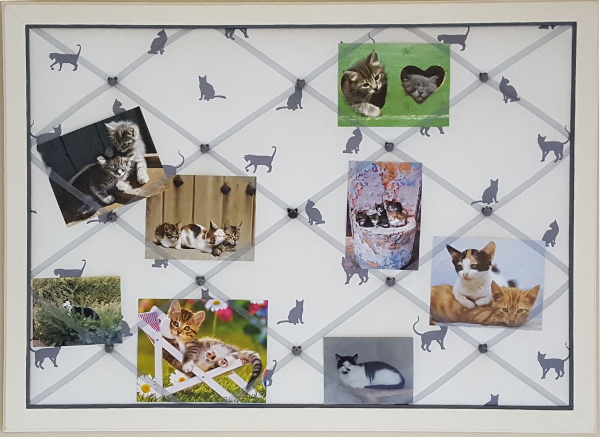 20210806 182038 001 encadrement